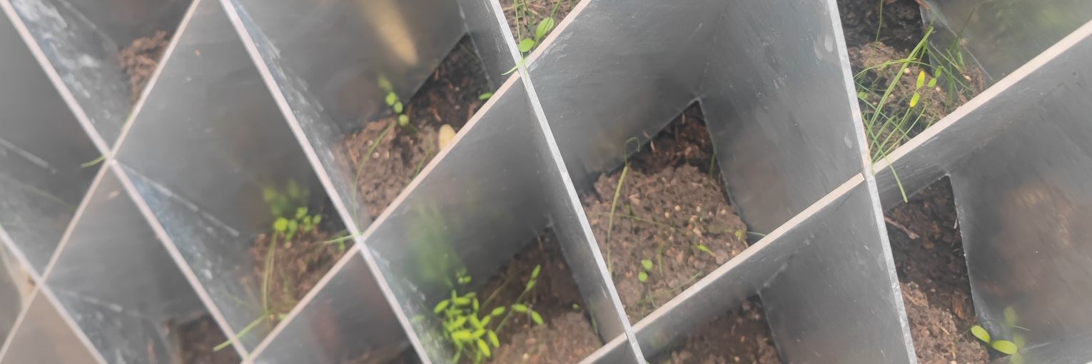 Samuel Fausch banner