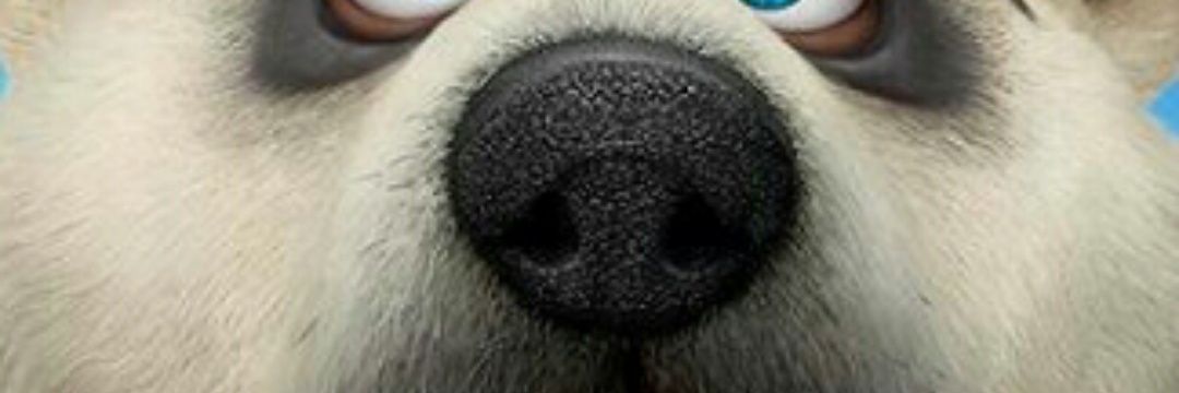 lansedahaigui1's profile banner image