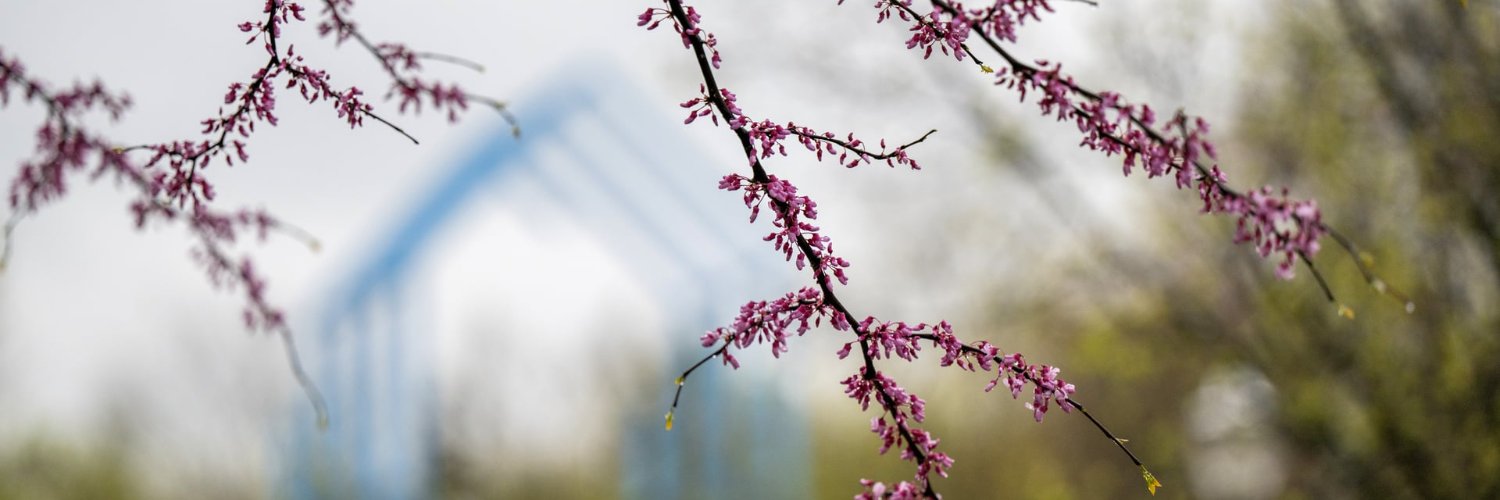 GVSU's profile banner image