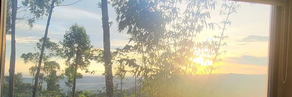 BlanjaMi's profile banner image