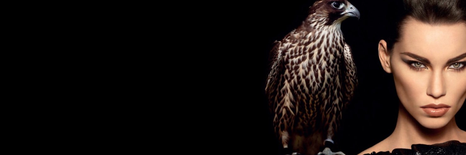SharkJelly's profile banner image