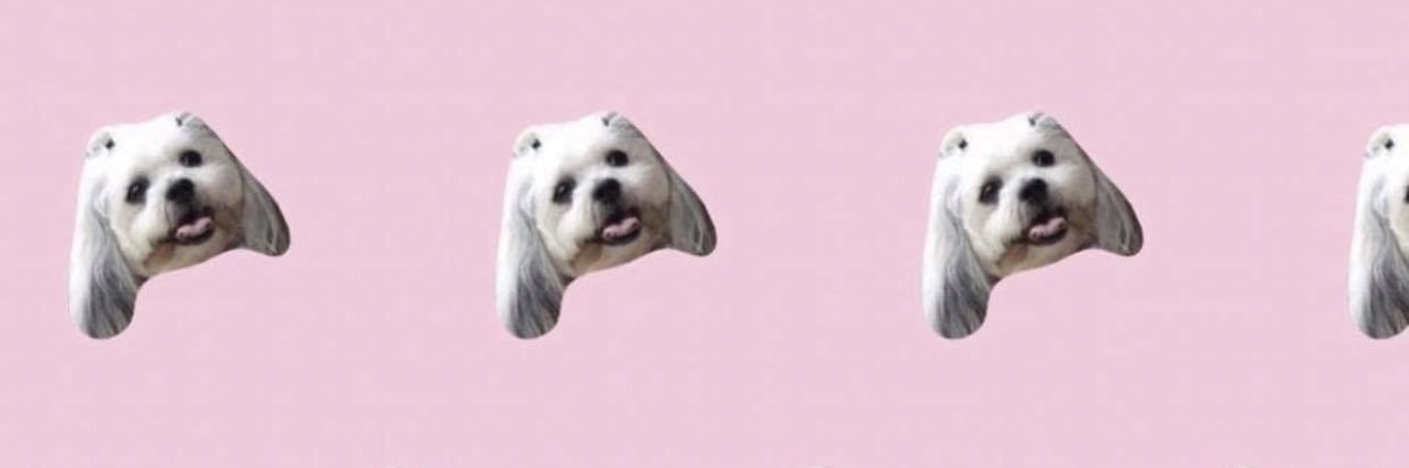 Michelle Vito banner