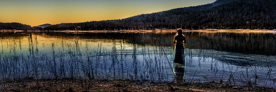 DarrenMcMahon banner