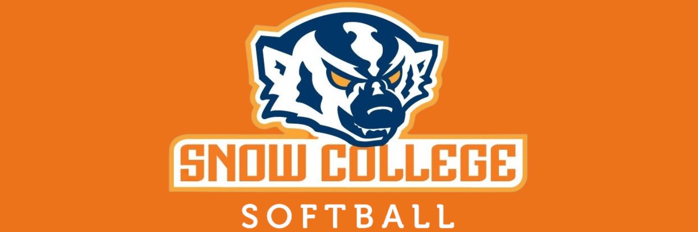 Snow Softball banner