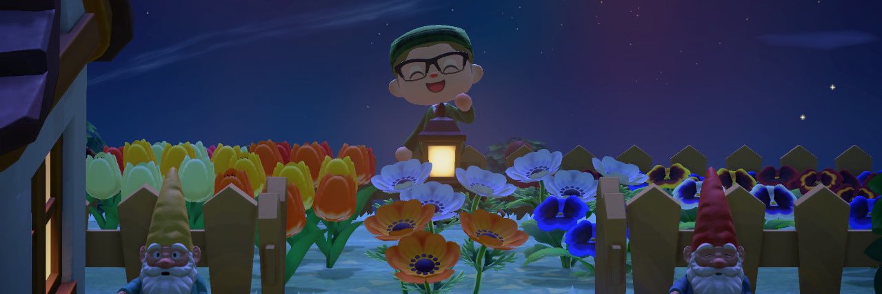 The daytime of the night banner