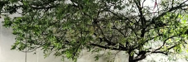 Patel45Nature Profile Banner