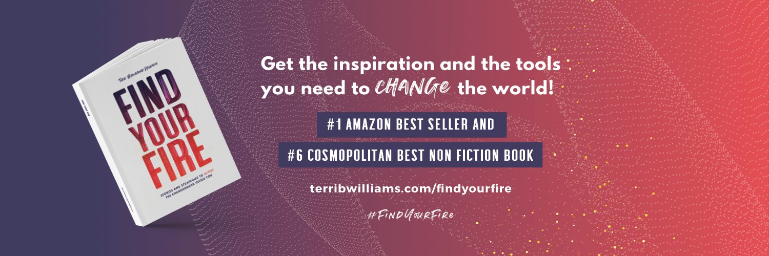 TerriBWilliams's profile banner image