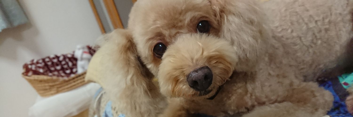bosyu3's profile banner image