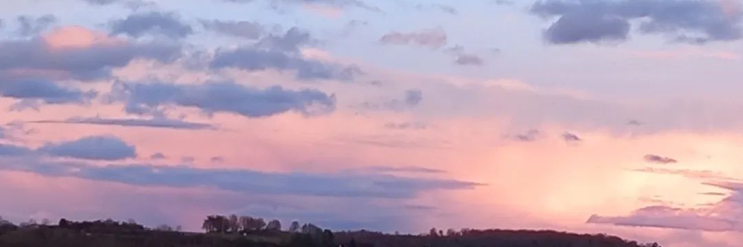 Michelle Hunter, PhD banner