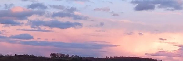 shellearning68 Profile Banner