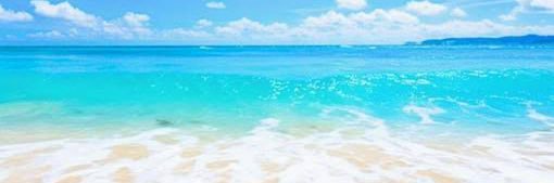 ぷにしす🫧🎩 banner