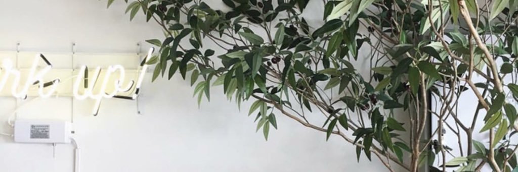 JoanChengg's profile banner image