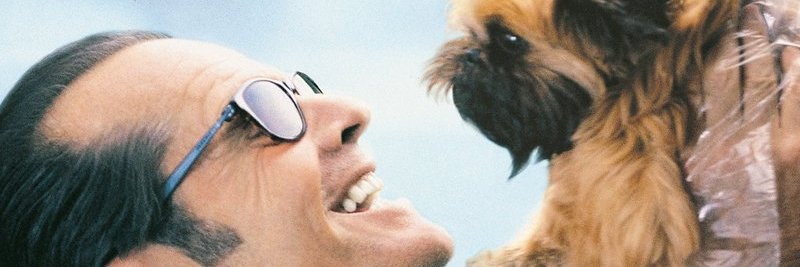 AceFu's profile banner image