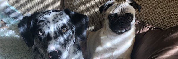 scottypenland Profile Banner