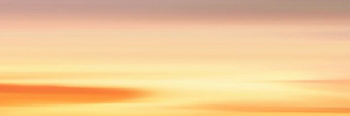 curroserranoc's profile banner image