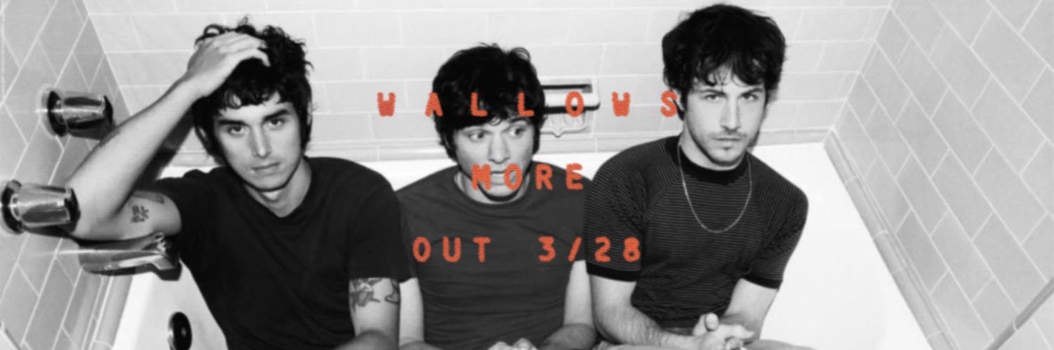 Wallows Media banner