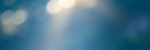 Elena's banner