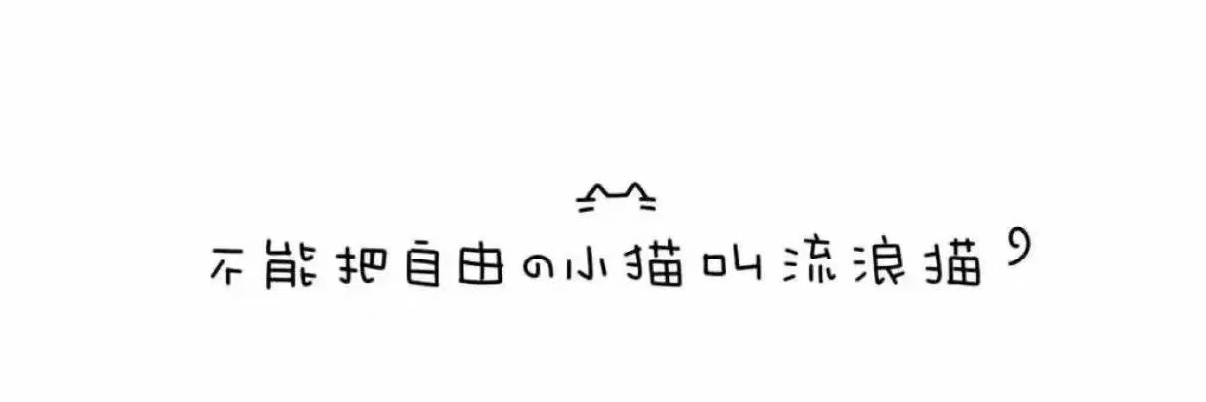 诺诺 banner