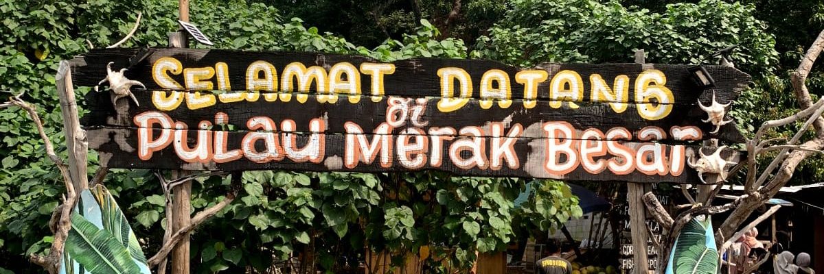 katye banner