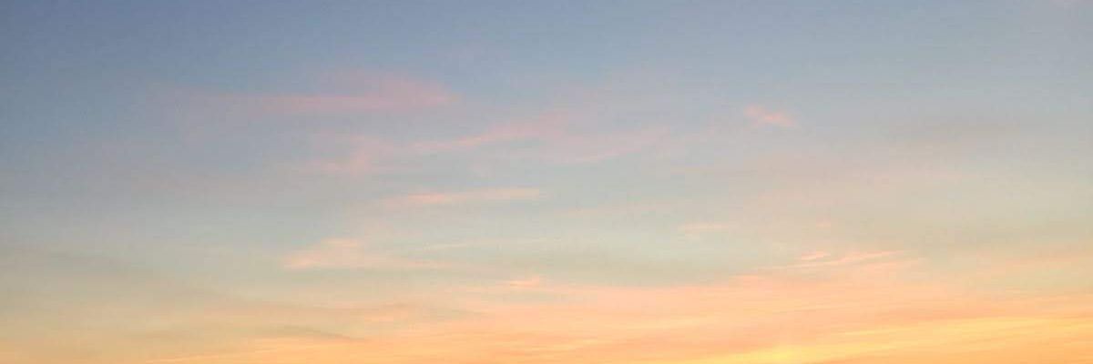 esstelanerc's profile banner image