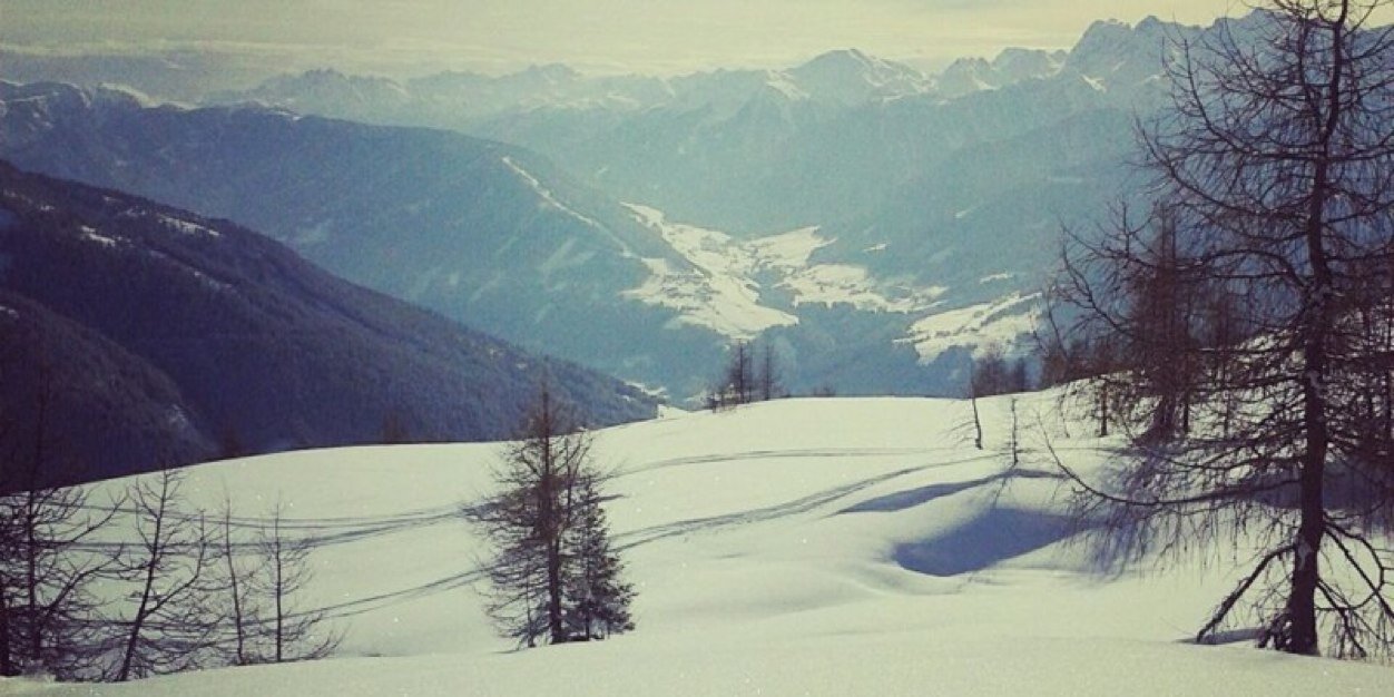 vikilinchen's profile banner image