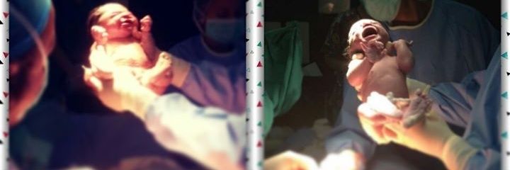 Rodolfo Muster banner