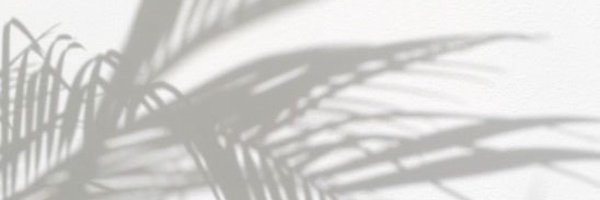 celina_vision Profile Banner