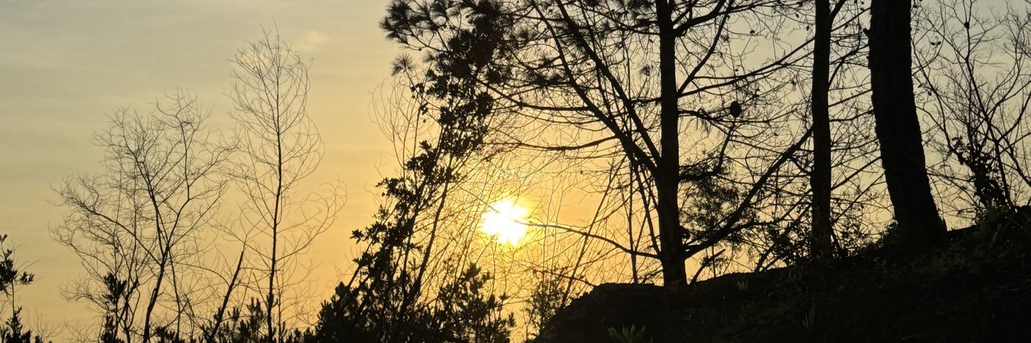 Fan Phú Thảo 20 năm banner