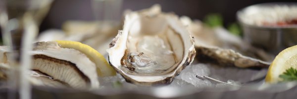 JoeFortesVan Profile Banner