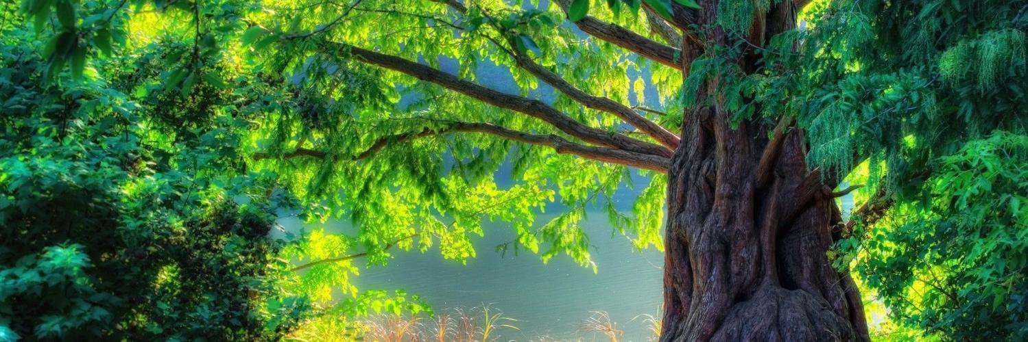 SpreadJahLove's profile banner image
