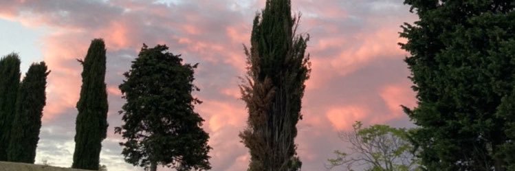 giuliricchi's profile banner image