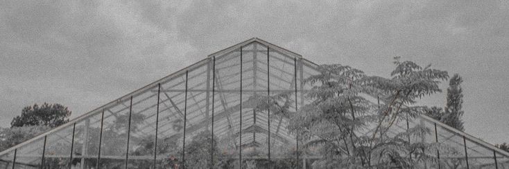 LlKN0W's profile banner image