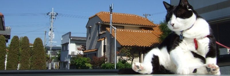 kogenori's profile banner image