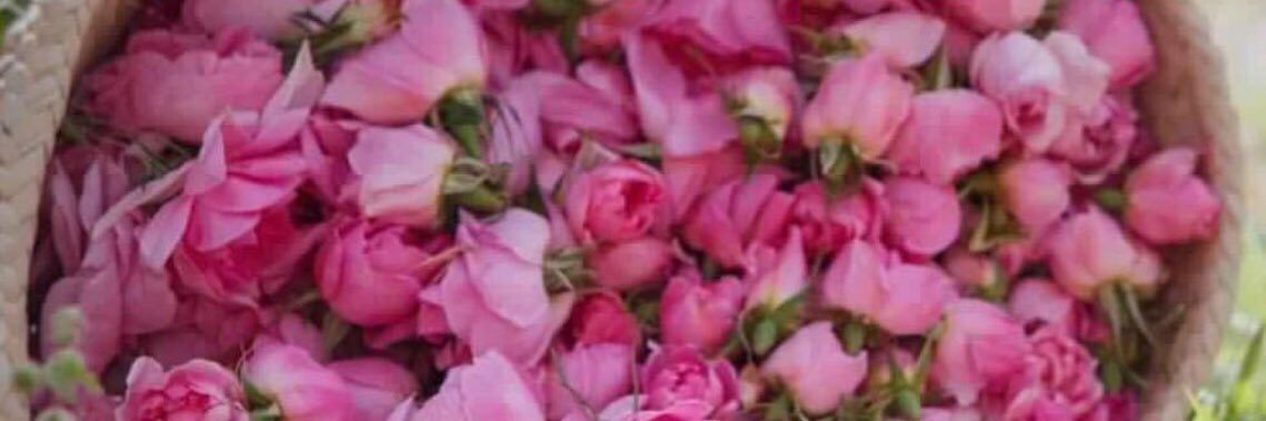 fatin_HR's profile banner image