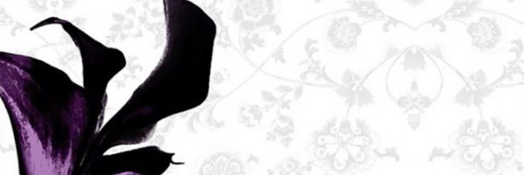 phos . ࣪ ˖ཀ banner