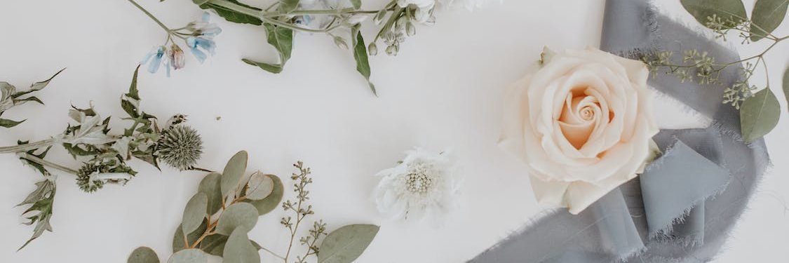 FinnertyColleen's profile banner image