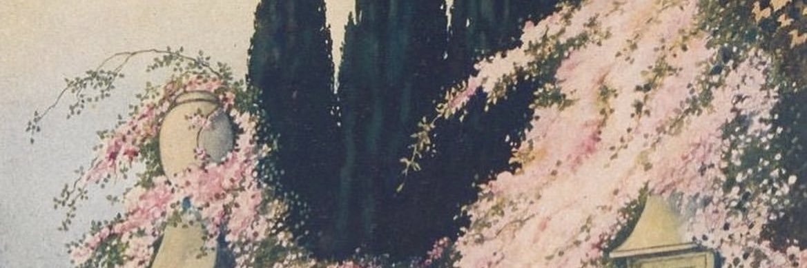 janeen banner
