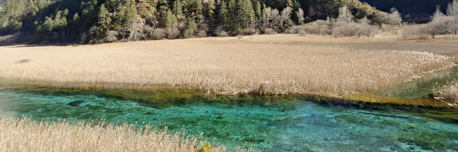 summersany's profile banner image