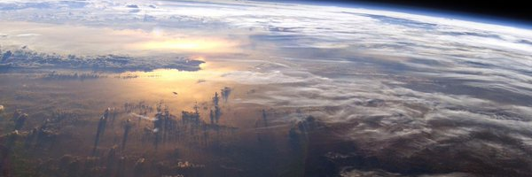 Walter Raines banner