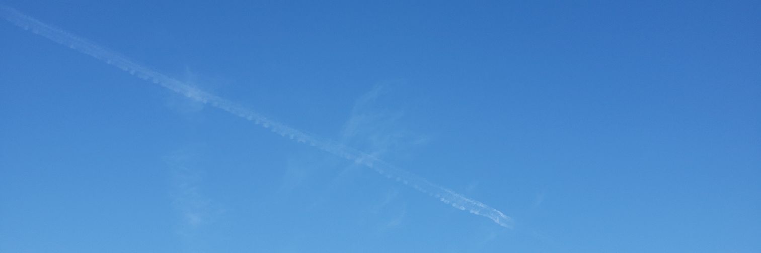 気胸蛙 banner