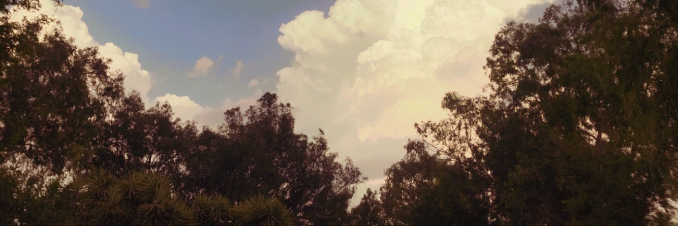 fleabag00's profile banner image