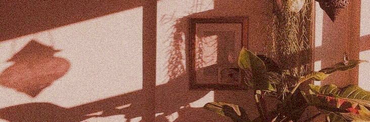 RHlANNONOC's profile banner image