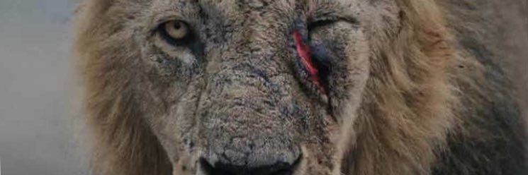 CLRAFB's profile banner image