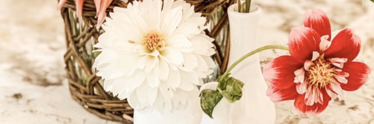 Mrs_VSessions's profile banner image