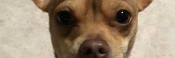 mismagu's profile banner image