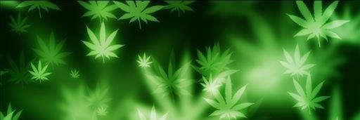 KroNo-182👁️ banner