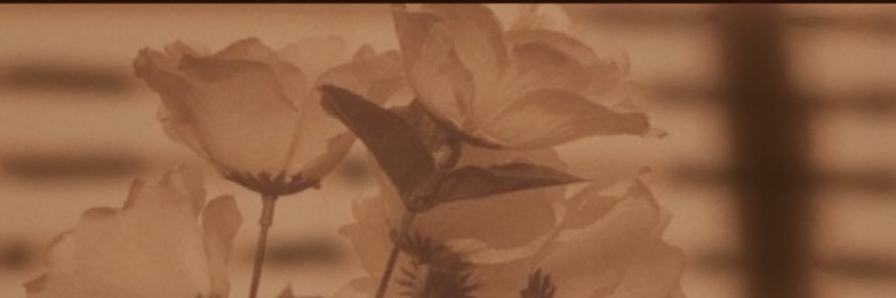 annabelle ྀིྀི (#1 goodnight n go lvr) 🦢 banner