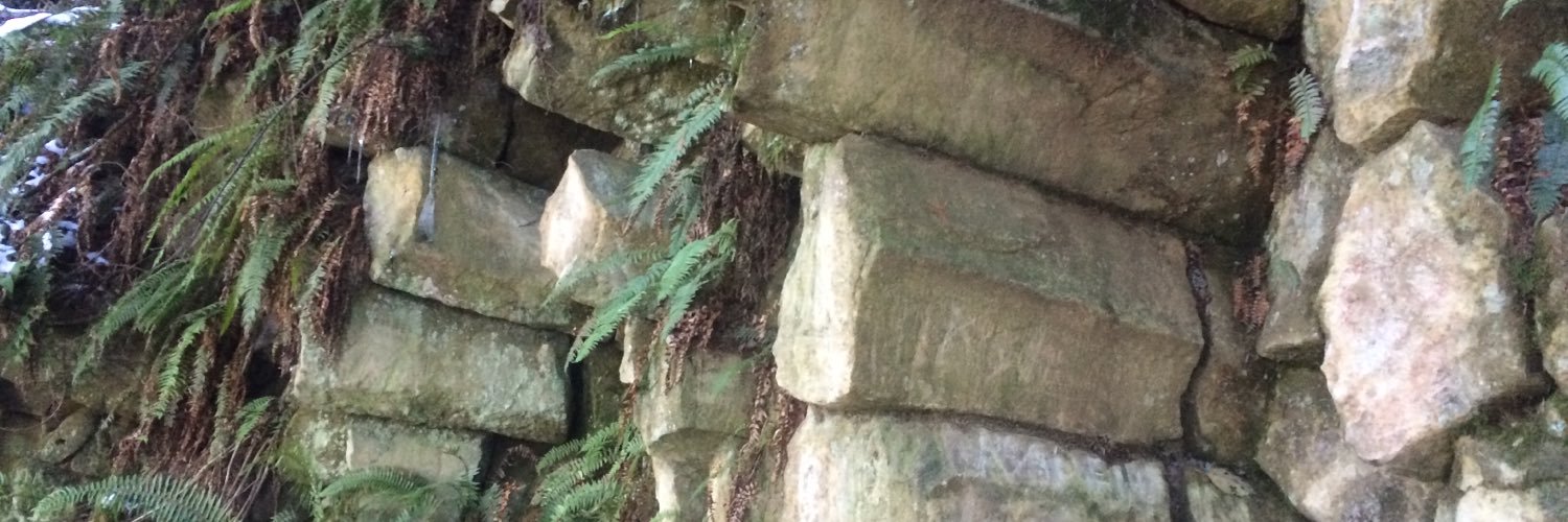 gboeckman's profile banner image