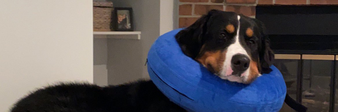 ScottieBoh's profile banner image