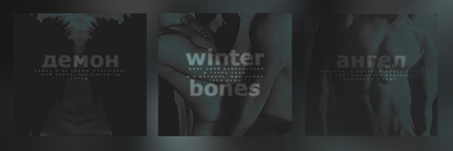 Winter Soldier banner